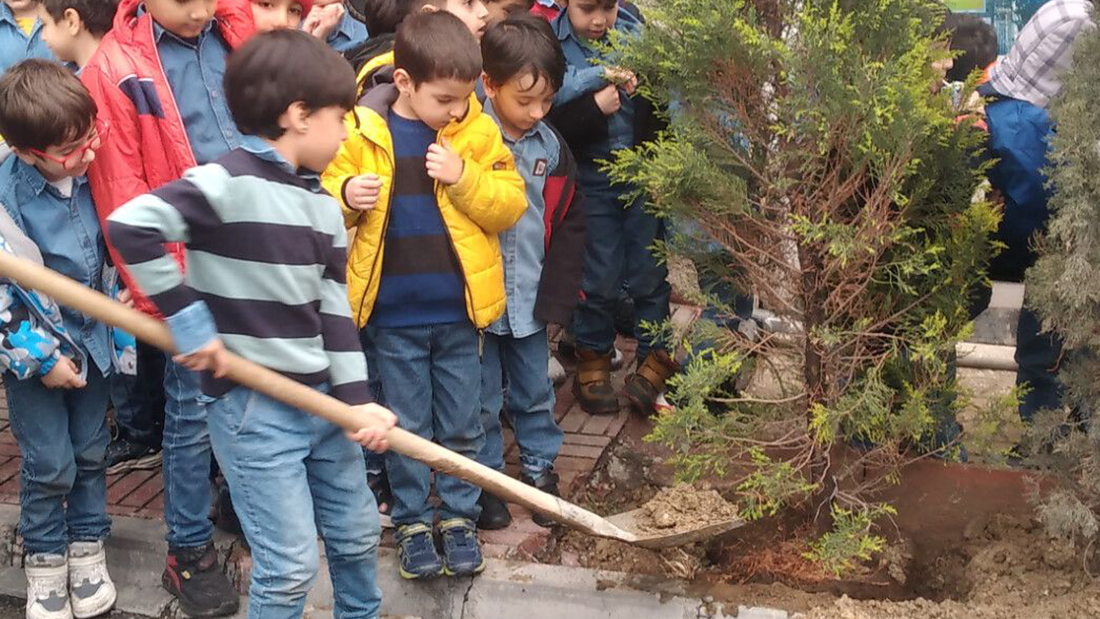 مدرسه جاوید در روز درختکاری، جانی تازه به طبیعت بخشید